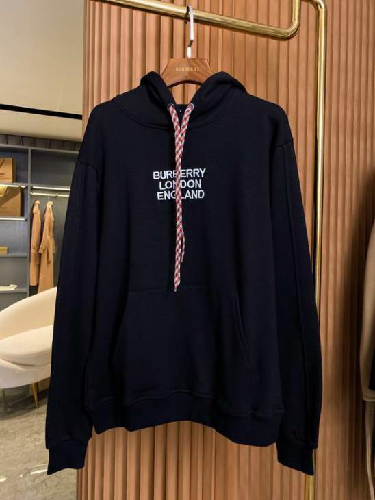 Picture of Burberry Hoodies _SKUBurberryS-2XLaztx85781822